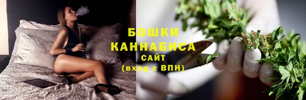 индика Бугульма