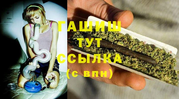 гидра Бронницы