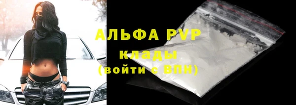 индика Бугульма