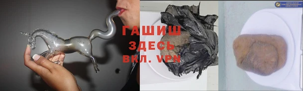 мяу мяу мука Бородино