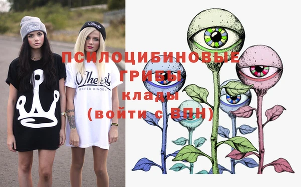 мяу мяу мука Бородино