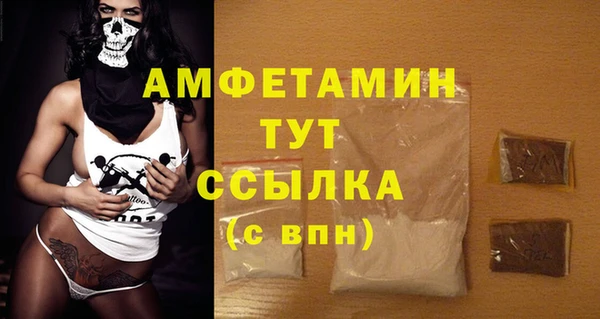 гидра Бронницы