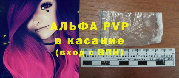 индика Бугульма