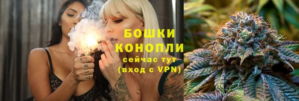 гидра Бронницы