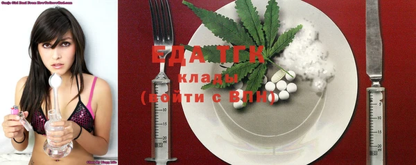 индика Бугульма
