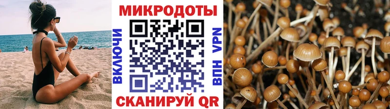 Купить  Дорогобуж  Псилоцибиновые грибы ЛСД 